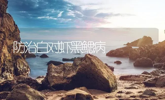 防治白对虾黑鳃病 | 海水养殖