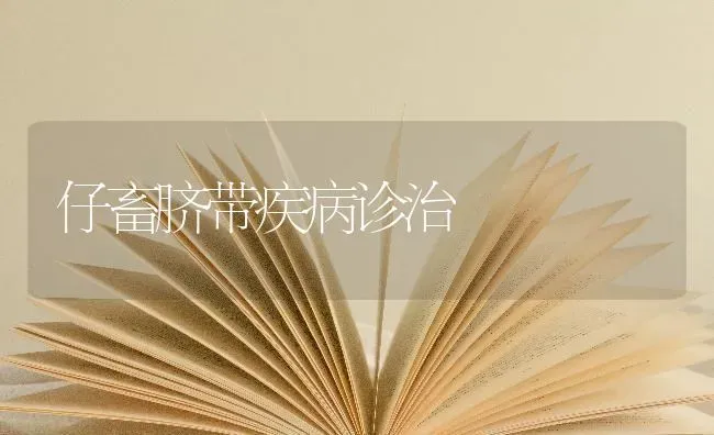 仔畜脐带疾病诊治 | 家畜养殖