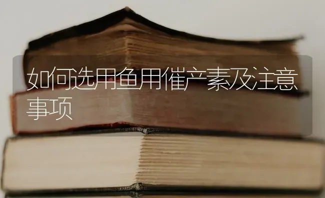 如何选用鱼用催产素及注意事项 | 淡水养殖