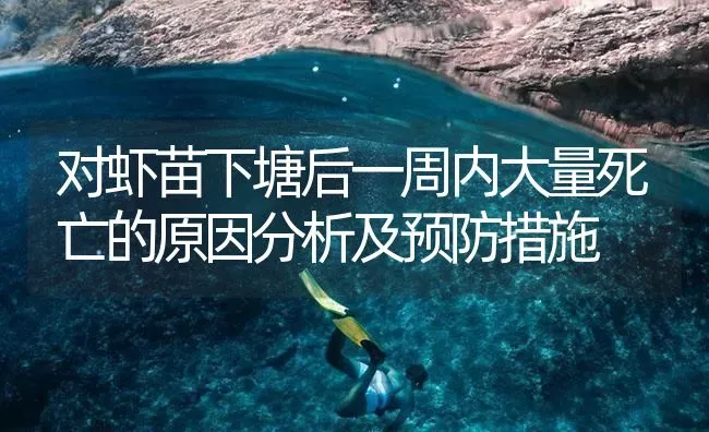 对虾苗下塘后一周内大量死亡的原因分析及预防措施 | 海水养殖