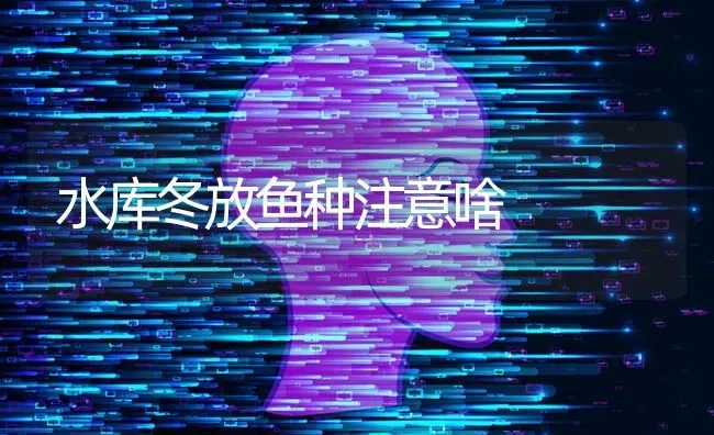 水库冬放鱼种注意啥 | 淡水养殖