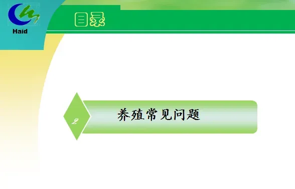 海南东方市四更镇冬造对虾高产养殖模式