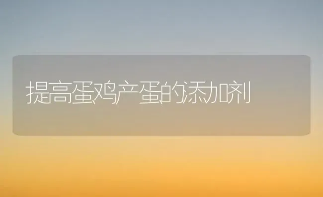 提高蛋鸡产蛋的添加剂 | 家禽养殖