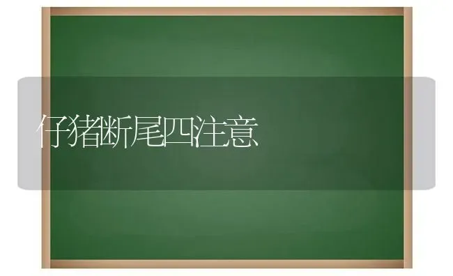 仔猪断尾四注意 | 家畜养殖