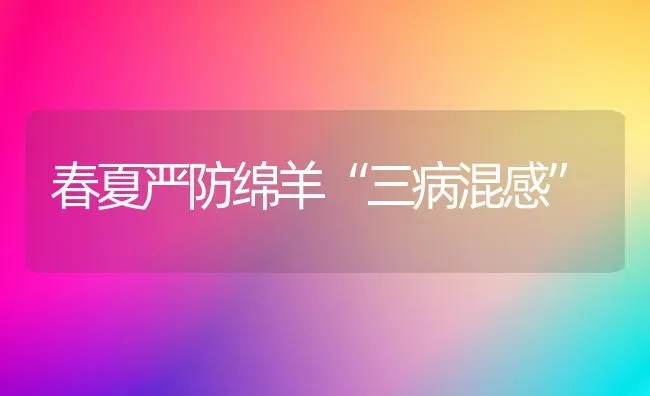 春夏严防绵羊“三病混感” | 家畜养殖