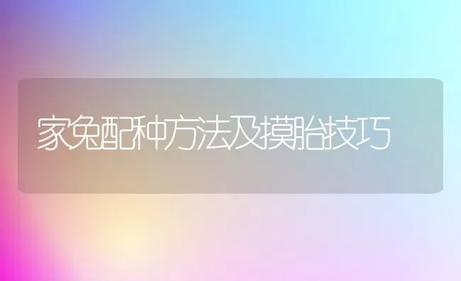 家兔配种方法及摸胎技巧 | 家畜养殖