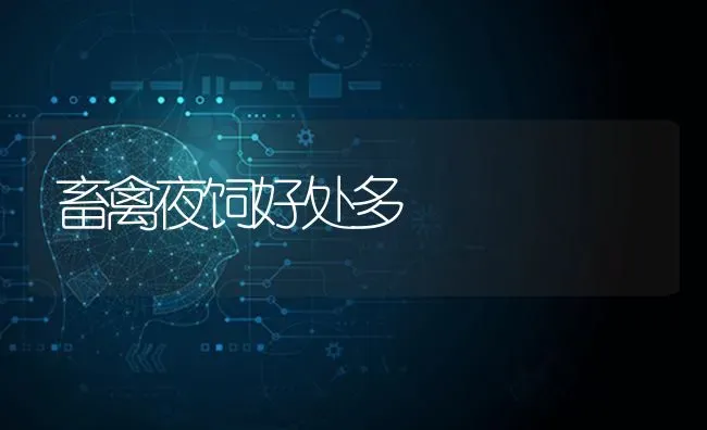 畜禽夜饲好处多 | 家禽养殖