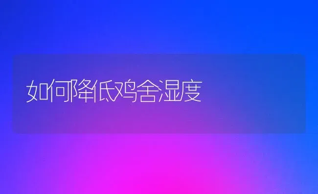 如何降低鸡舍湿度 | 家禽养殖