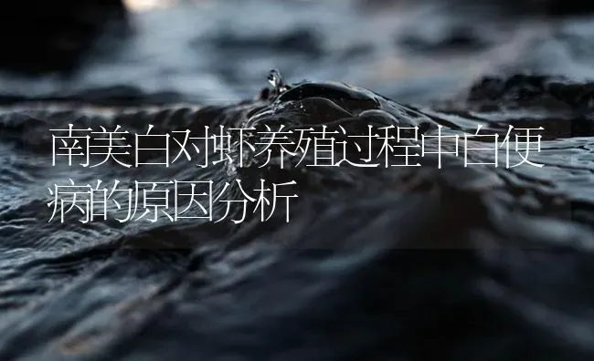 南美白对虾养殖过程中白便病的原因分析 | 海水养殖