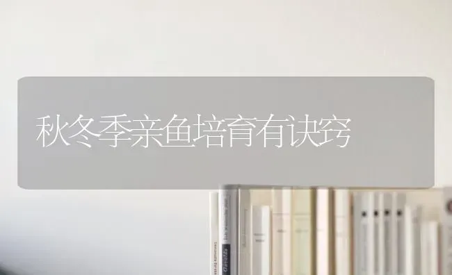 秋冬季亲鱼培育有诀窍 | 淡水养殖