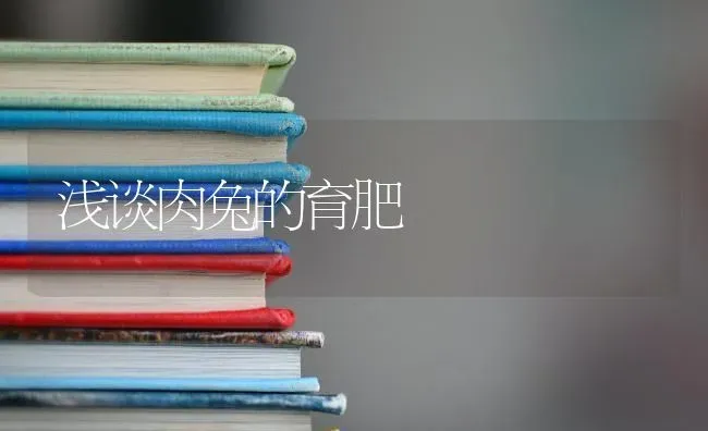 浅谈肉兔的育肥 | 家畜养殖