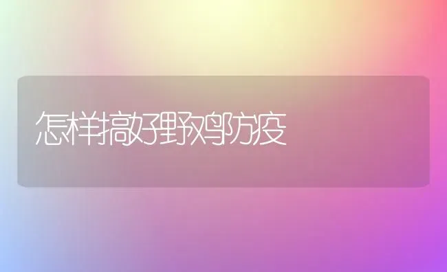 怎样搞好野鸡防疫 | 家禽养殖