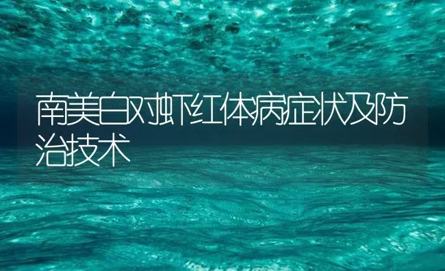 南美白对虾红体病症状及防治技术 | 海水养殖