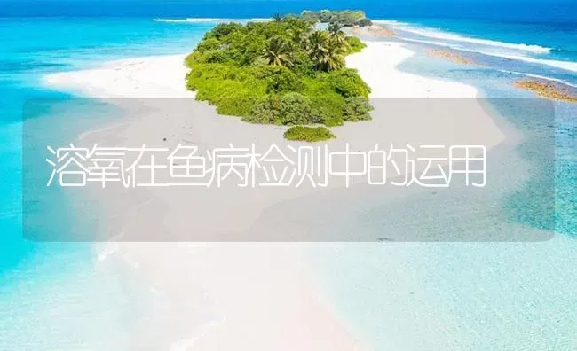 溶氧在鱼病检测中的运用 | 养殖病虫害防治