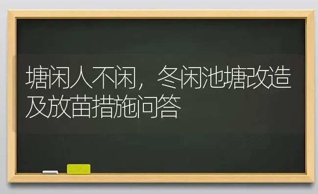 塘闲人不闲，冬闲池塘改造及放苗措施问答 | 动物养殖百科