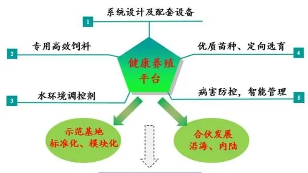 生物絮团零换水对虾养殖模式再获成功！7月验收，每方水体产量超15斤