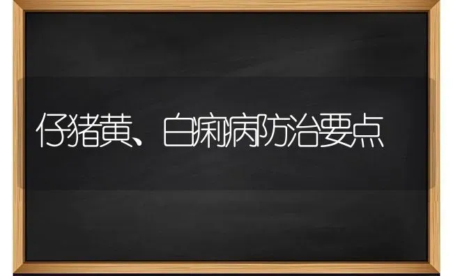 仔猪黄、白痢病防治要点 | 家畜养殖