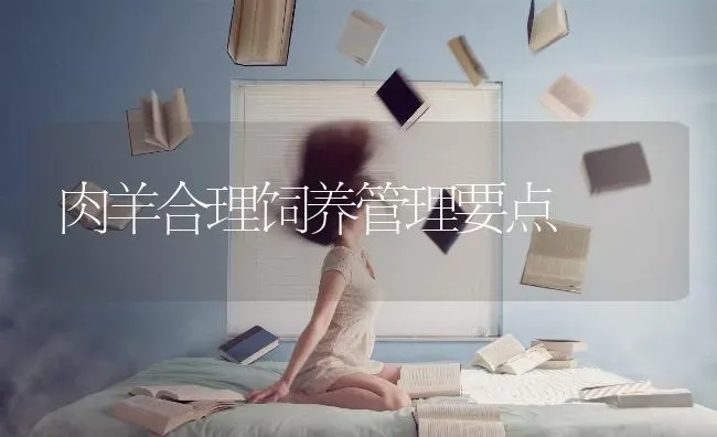肉羊合理饲养管理要点 | 家畜养殖