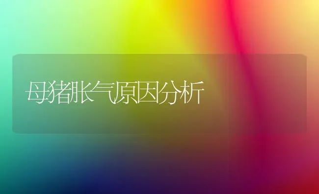 母猪胀气原因分析 | 家畜养殖