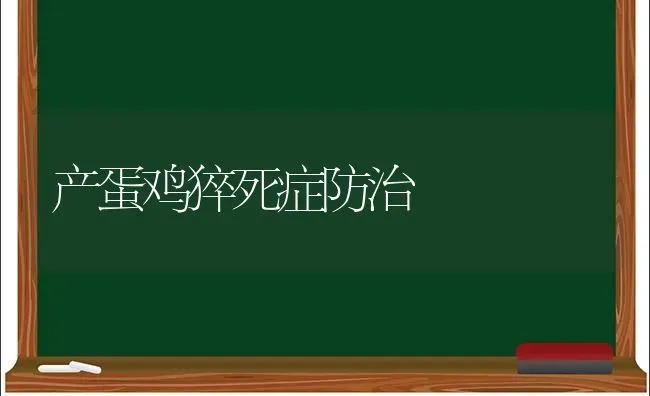 产蛋鸡猝死症防治 | 家禽养殖