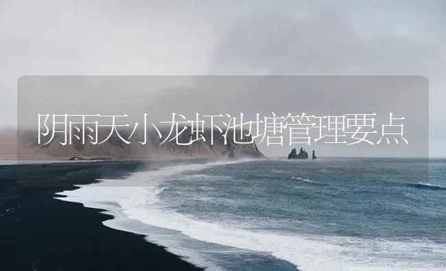 阴雨天小龙虾池塘管理要点 | 海水养殖