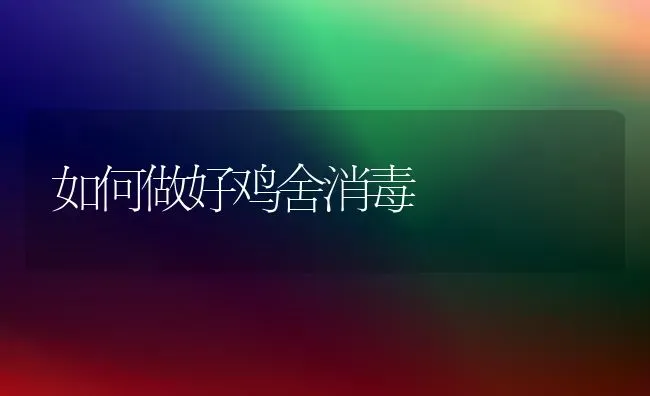 如何做好鸡舍消毒 | 家禽养殖