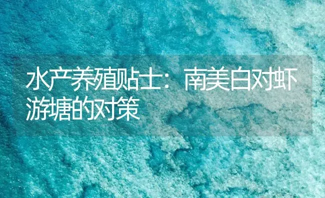 水产养殖贴士：南美白对虾游塘的对策 | 海水养殖