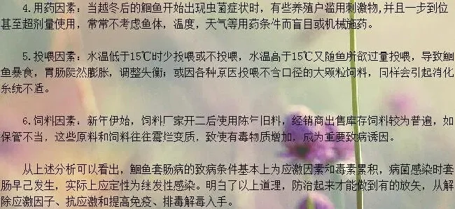 如何正确认识斑点叉尾鮰鱼套肠病