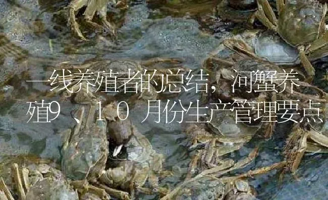 一线养殖者的总结，河蟹养殖9、10月份生产管理要点 | 淡水养殖
