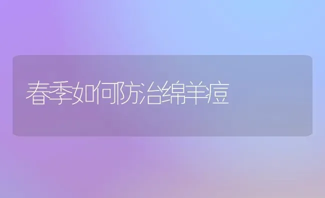 春季如何防治绵羊痘 | 家畜养殖