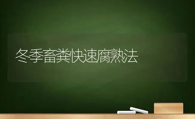 冬季畜粪快速腐熟法 | 家畜养殖