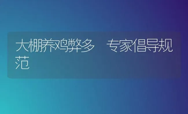大棚养鸡弊多 专家倡导规范 | 家禽养殖