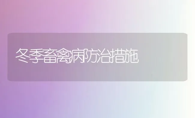 冬季畜禽病防治措施 | 家禽养殖