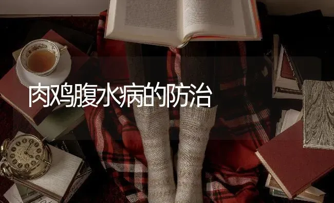 肉鸡腹水病的防治 | 家禽养殖