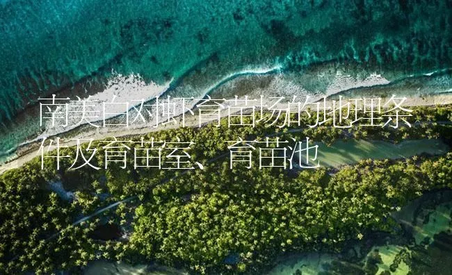 南美白对虾育苗场的地理条件及育苗室、育苗池 | 海水养殖