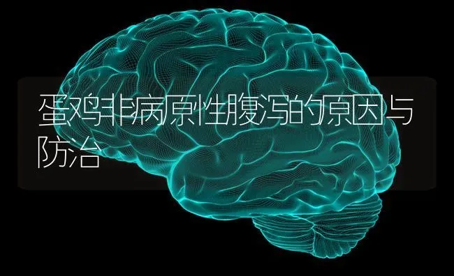 蛋鸡非病原性腹泻的原因与防治 | 家禽养殖