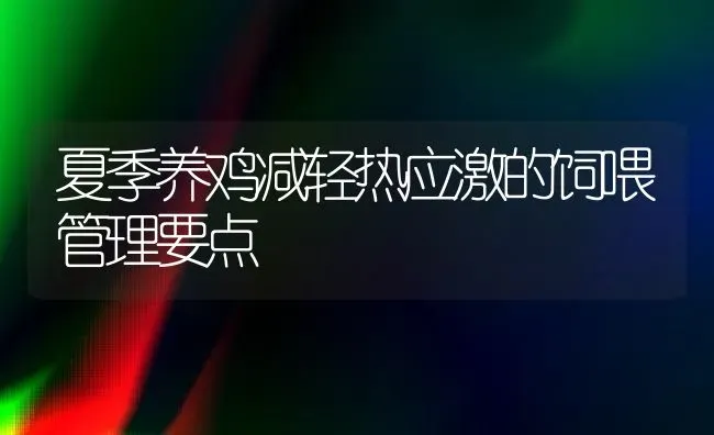 夏季养鸡减轻热应激的饲喂管理要点 | 家禽养殖