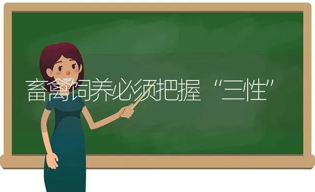 畜禽饲养必须把握“三性” | 家禽养殖