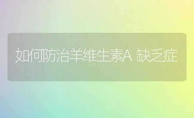 如何防治羊维生素A缺乏症 | 家畜养殖