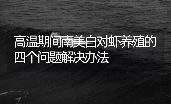 高温期间南美白对虾养殖的四个问题解决办法 | 海水养殖