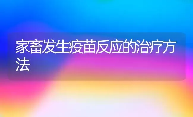 家畜发生疫苗反应的治疗方法 | 家畜养殖