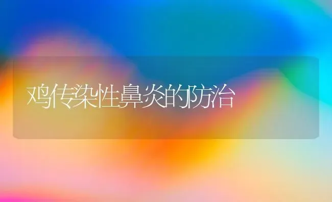 鸡传染性鼻炎的防治 | 家禽养殖