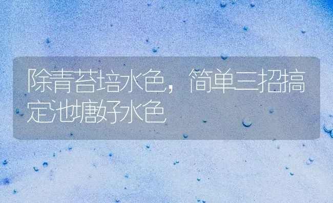 除青苔培水色，简单三招搞定池塘好水色 | 动物养殖百科