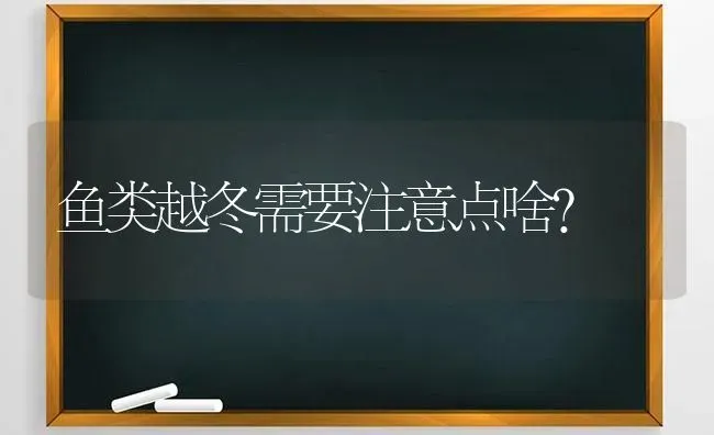 鱼类越冬需要注意点啥？ | 动物养殖百科