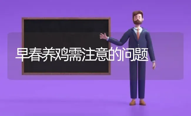 早春养鸡需注意的问题 | 家禽养殖