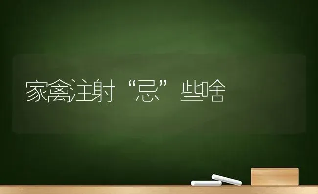 家禽注射“忌”些啥 | 家禽养殖