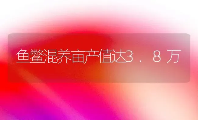 鱼鳖混养亩产值达3.8万 | 淡水养殖