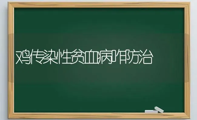 鸡传染性贫血病咋防治 | 家禽养殖