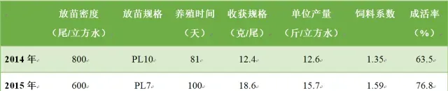 生物絮团零换水对虾养殖模式再获成功！7月验收，每方水体产量超15斤