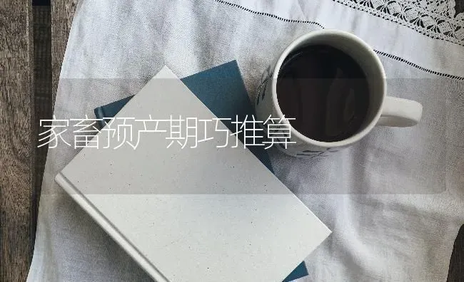 家畜预产期巧推算 | 家畜养殖